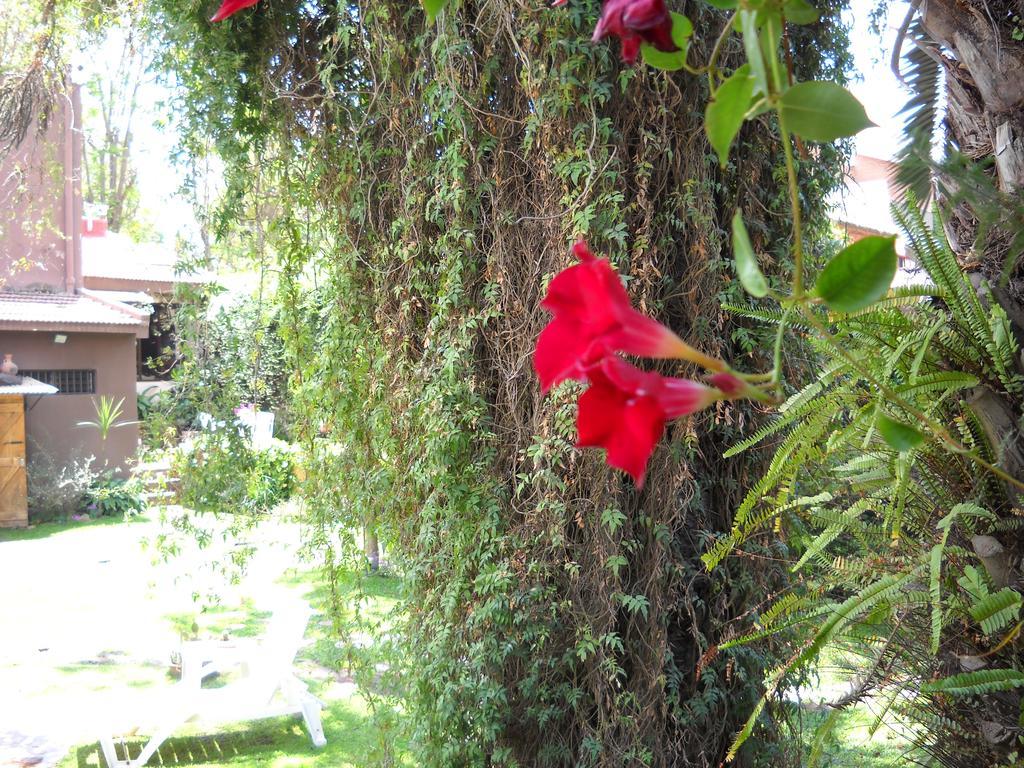 Hosteria Pascana San Salvador de Jujuy Extérieur photo